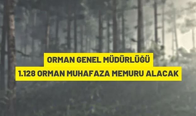 ORMAN GENEL MÜDÜRLÜĞÜ 1.128 ORMAN MUHAFAZA MEMURU ALACAK
