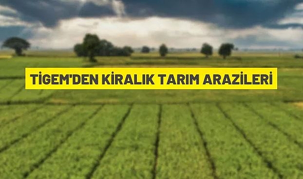 TİGEM 1.545 DEKAR SULANABİLİR ARAZİYİ KİRAYA VERECEK