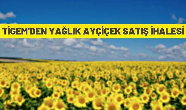 TİGEM'DEN YAĞLIK AYÇİÇEĞİ SATIŞ İHALESİ