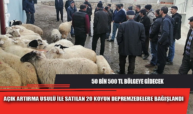 AÇIK ARTIRMA USULÜ İLE SATILAN 20 KOYUN DEPREMZEDELERE BAĞIŞLANDI