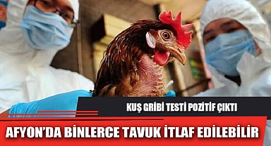 AFYON’DA BİNLERCE TAVUK İTLAF EDİLEBİLİR