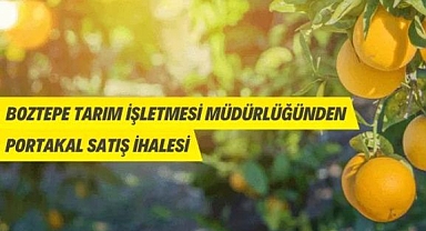 BOZTEPE TARIM İŞLETMESİ İHALE İLE PORTAKAL SATACAK