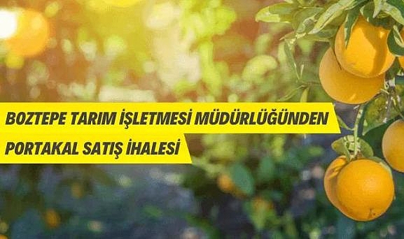 BOZTEPE TARIM İŞLETMESİ İHALE İLE PORTAKAL SATACAK