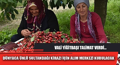 DÜNYACA ÜNLÜ SULTANDAĞI KİRAZI İÇİN ALIM MERKEZİ KURULACAK