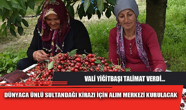 DÜNYACA ÜNLÜ SULTANDAĞI KİRAZI İÇİN ALIM MERKEZİ KURULACAK
