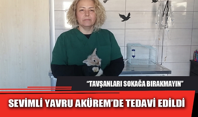 SEVİMLİ YAVRU AKÜREM’DE TEDAVİ EDİLDİ