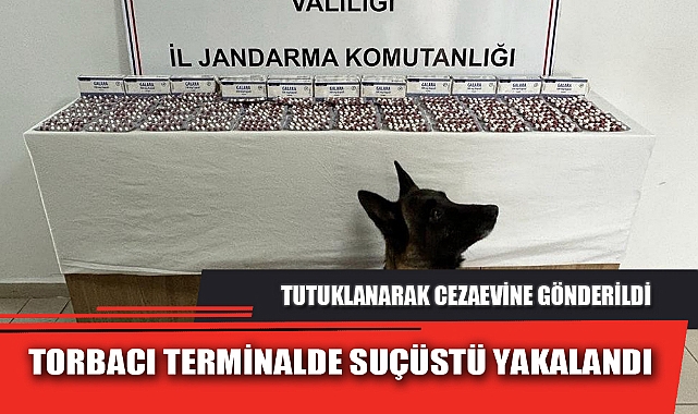 TORBACI TERMİNALDE SUÇÜSTÜ YAKALANDI