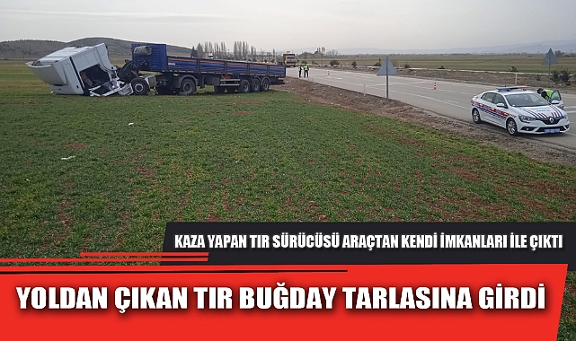 YOLDAN ÇIKAN TIR BUĞDAY TARLASINA GİRDİ