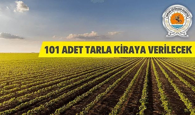 101 ADET TARLA KİRAYA VERİLECEK