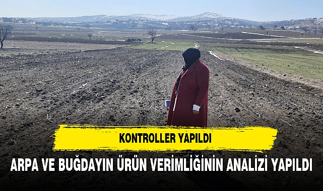 ARPA VE BUĞDAYIN ÜRÜN VERİMLİĞİNİN ANALİZİ YAPILDI