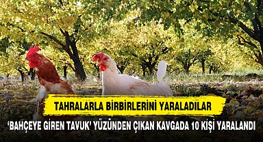 ‘BAHÇEYE GİREN TAVUK’ YÜZÜNDEN ÇIKAN KAVGADA 10 KİŞİ YARALANDI