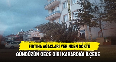 FIRTINA AĞAÇLARI YERİNDEN SÖKTÜ