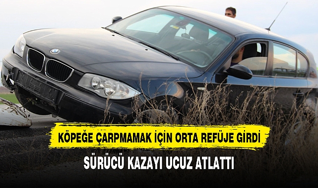 KÖPEĞE ÇARPMAMAK İÇİN ORTA REFÜJE GİRDİ