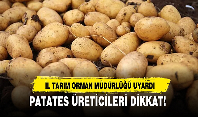 PATATES ÜRETİCİLERİ DİKKAT!