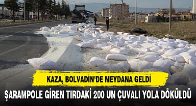 ŞARAMPOLE GİREN TIRDAKİ 200 UN ÇUVALI YOLA DÖKÜLDÜ