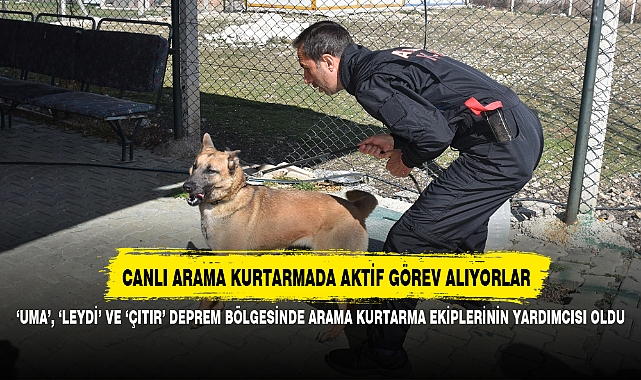 ‘UMA’, ‘LEYDİ’ VE ‘ÇITIR’ DEPREM BÖLGESİNDE ARAMA KURTARMA EKİPLERİNİN YARDIMCISI OLDU