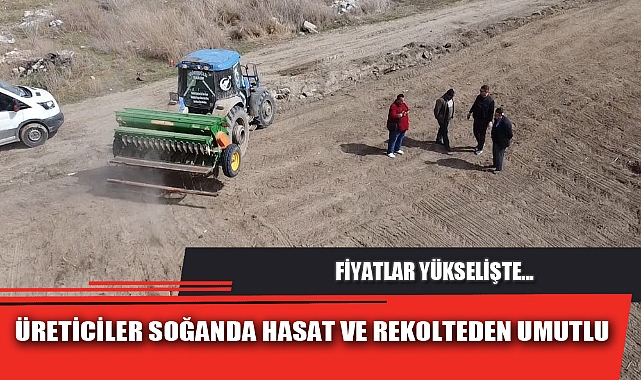 ÜRETİCİLER SOĞANDA HASAT VE REKOLTEDEN UMUTLU