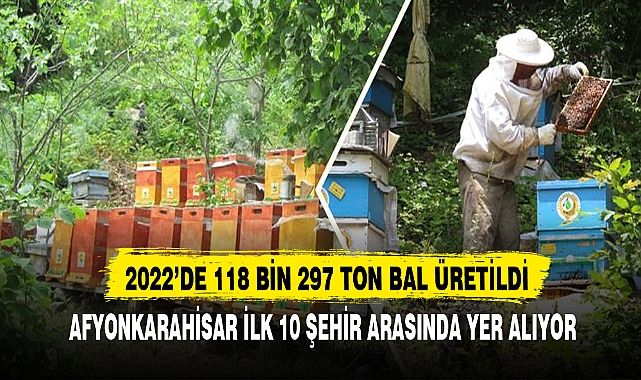 2022’DE 118 BİN 297 TON BAL ÜRETİLDİ