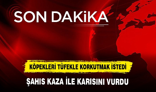 BAHÇESİNE GİREN KÖPEKLERİ TÜFEKLE KORKUTMAK İSTEYEN ADAM KARISINI VURDU