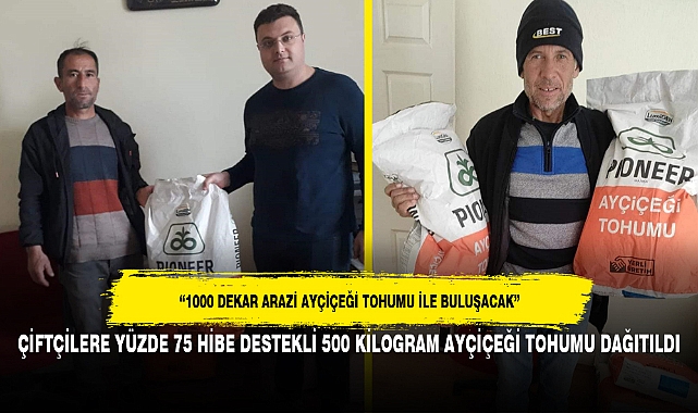 ÇİFTÇİLERE YÜZDE 75 HİBE DESTEKLİ 500 KİLOGRAM AYÇİÇEĞİ TOHUMU DAĞITILDI