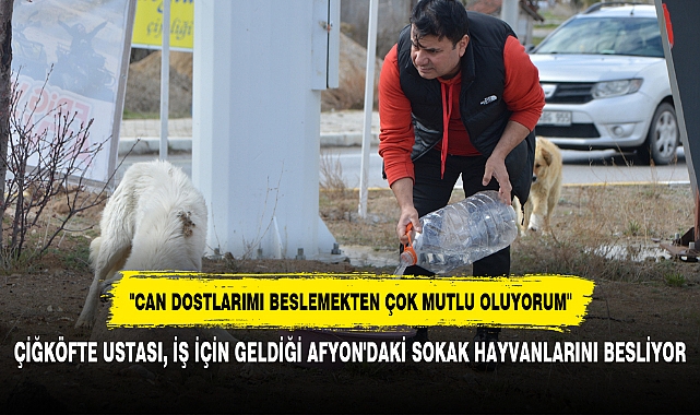 ÇİĞKÖFTE USTASI, İŞ İÇİN GELDİĞİ AFYON'DAKİ SOKAK HAYVANLARINI BESLİYOR