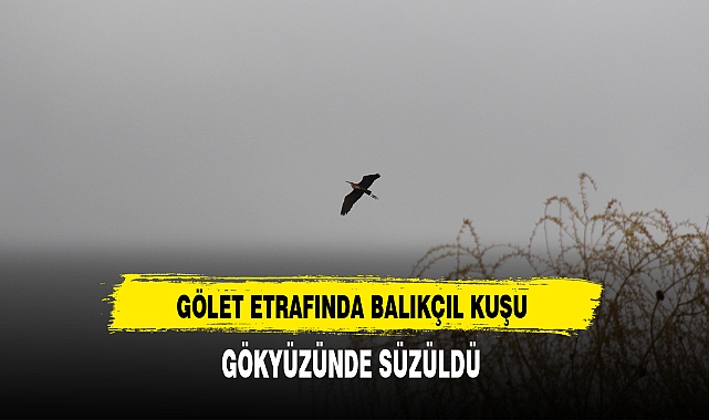 GÖLET ETRAFINDA BALIKÇIL KUŞU