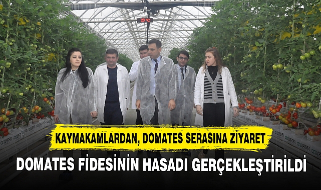 KAYMAKAMLARDAN, DOMATES SERASINA ZİYARET