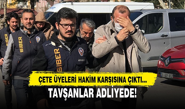 TAVŞANLAR ADLİYEDE!