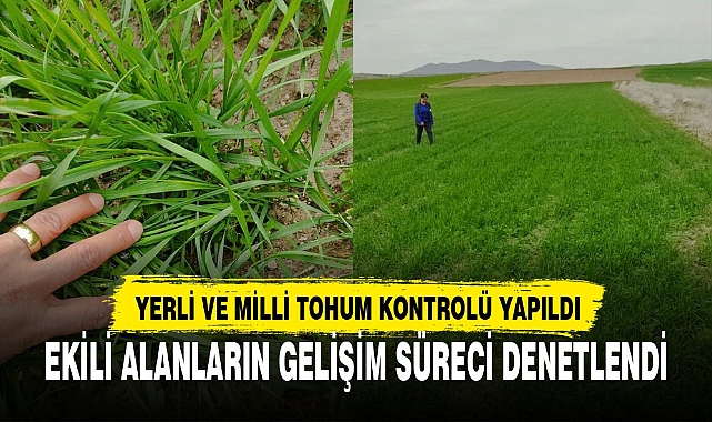 YERLİ VE MİLLİ TOHUM KONTROLÜ YAPILDI
