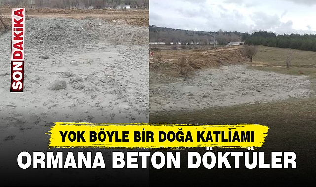 YOK BÖYLE BİR DOĞA KATLİAMI