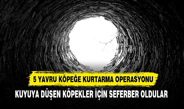 5 YAVRU KÖPEĞİ KURTARMA OPERASYONU
