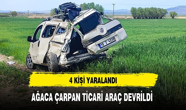 AĞACA ÇARPAN TİCARİ ARAÇ DEVRİLDİ