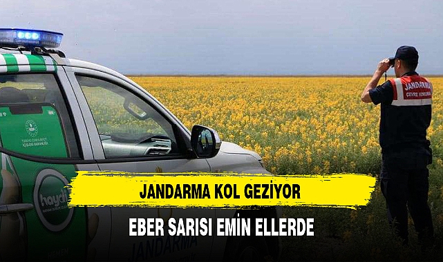 EBER SARISI EMİN ELLERDE