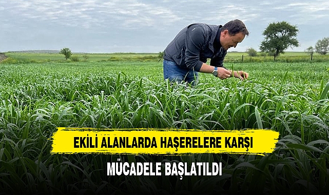 EKİLİ ALANLARDA HAŞERELERE KARŞI MÜCADELE BAŞLATILDI