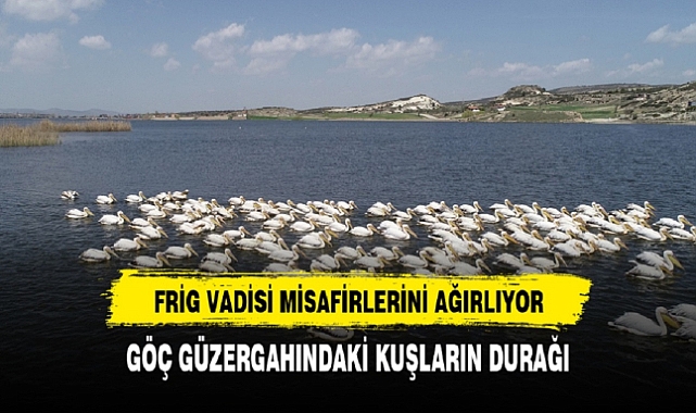 FRİG VADİSİ MİSAFİRLERİNİ AĞIRLIYOR