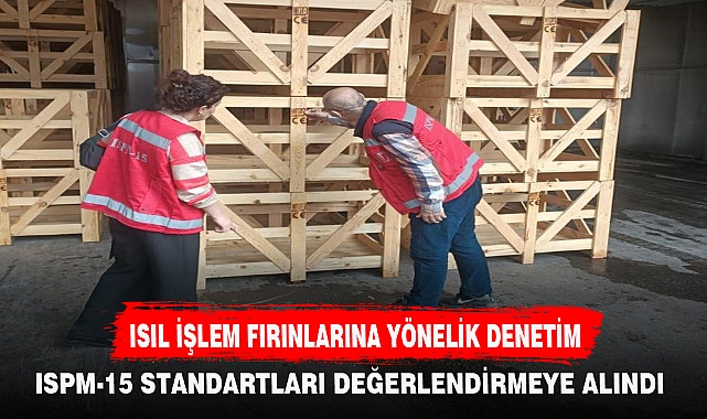 ISIL İŞLEM FIRINLARINA YÖNELİK DENETİM