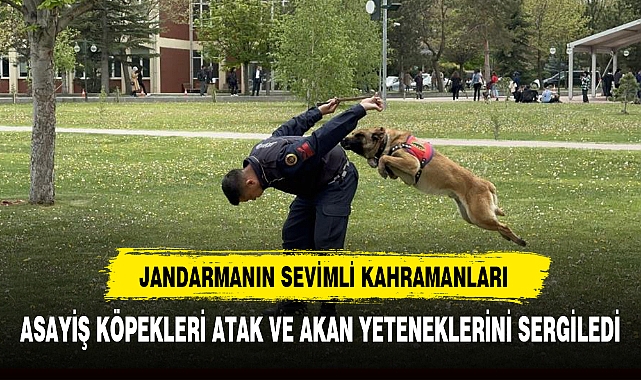 JANDARMANIN SEVİMLİ KAHRAMANLARI