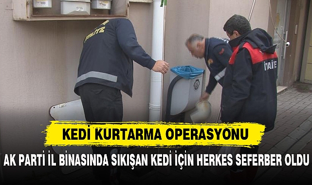 KEDİ KURTARMA OPERASYONU