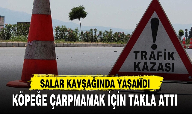 KÖPEĞE ÇARPMAMAK İÇİN TAKLA ATTI