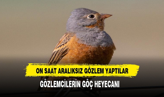 KUŞ GÖZLEMCİLERİNİN GÖÇ HEYECANI