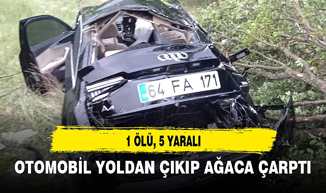 OTOMOBİL YOLDAN ÇIKIP AĞACA ÇARPTI 1 ÖLÜ, 5 YARALI