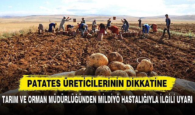 PATATES ÜRETİCİLERİNİN DİKKATİNE