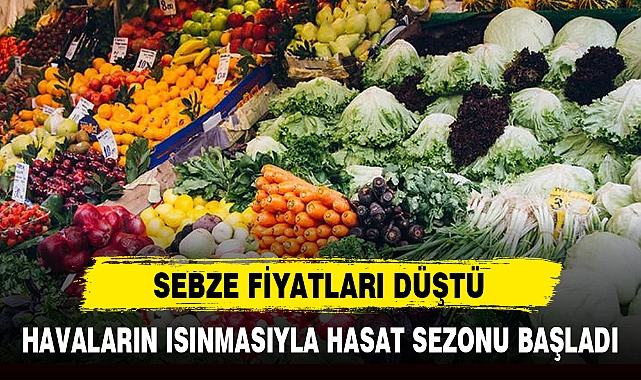 SEBZE FİYATLARI DÜŞTÜ