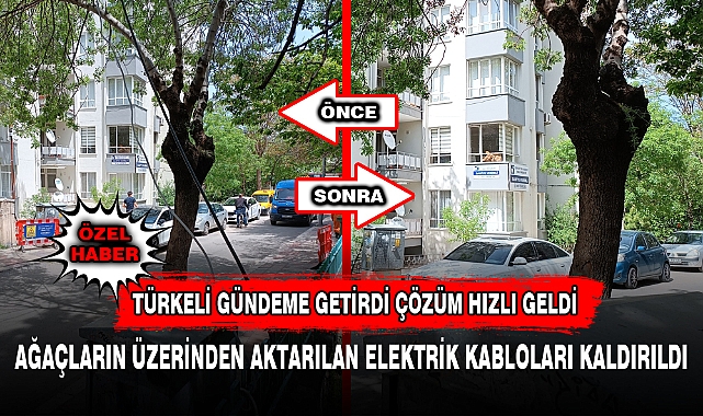 TÜRKELİ GÜNDEME GETİRDİ ÇÖZÜM HIZLI GELDİ