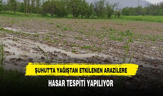 YAĞIŞTAN ETKİLENEN ARAZİLERE HASAR TESPİTİ YAPILIYOR