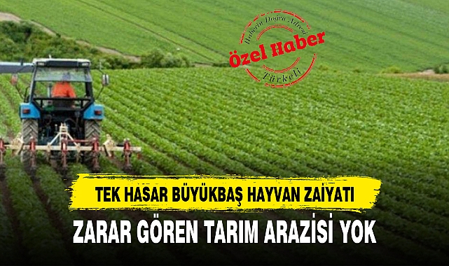 ZARAR GÖREN TARIM ARAZİSİ YOK