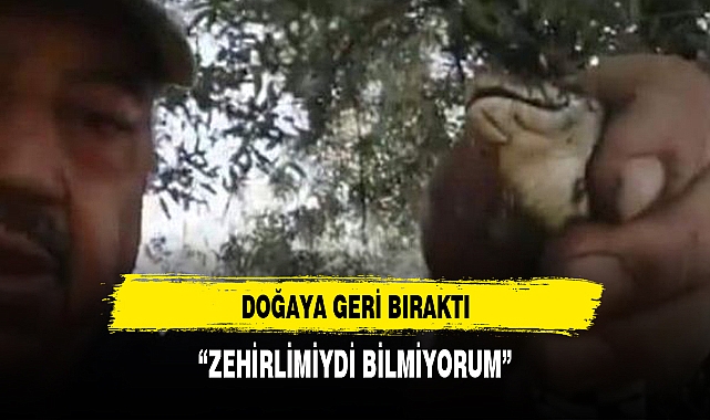 “ZEHİRLİMİYDİ BİLMİYORUM”