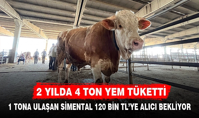 2 YILDA 4 TON YEM TÜKETTİ