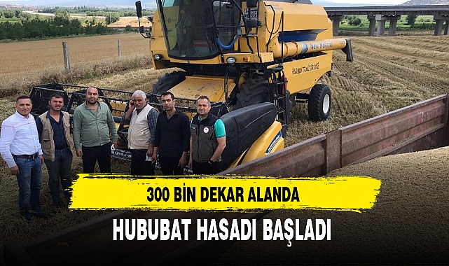 300 BİN DEKAR ALANDA HUBUBAT HASADI BAŞLADI