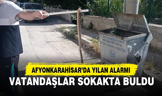 AFYONKARAHİSAR’DA YILAN ALARMI